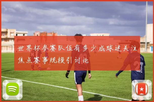 世界杯参赛队伍有多少成球迷关注焦点赛事规模引讨论