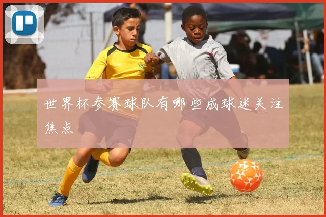 世界杯参赛球队有哪些成球迷关注焦点